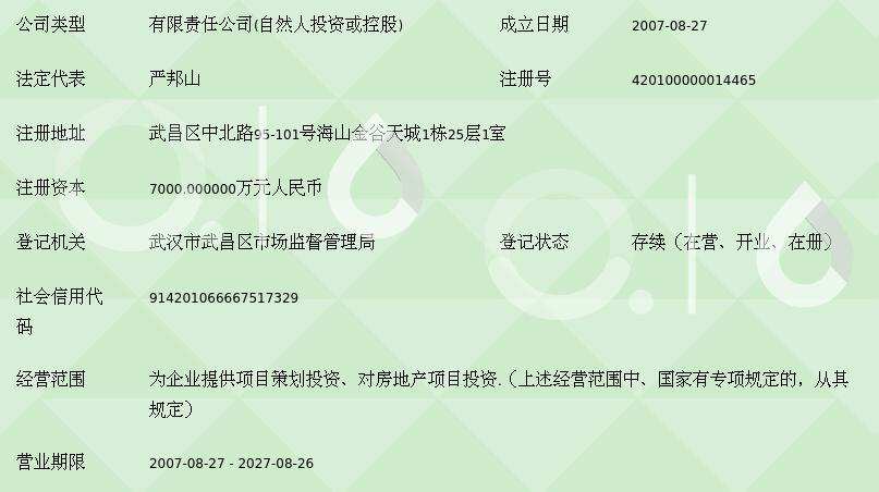 武漢海山投資集團(tuán)